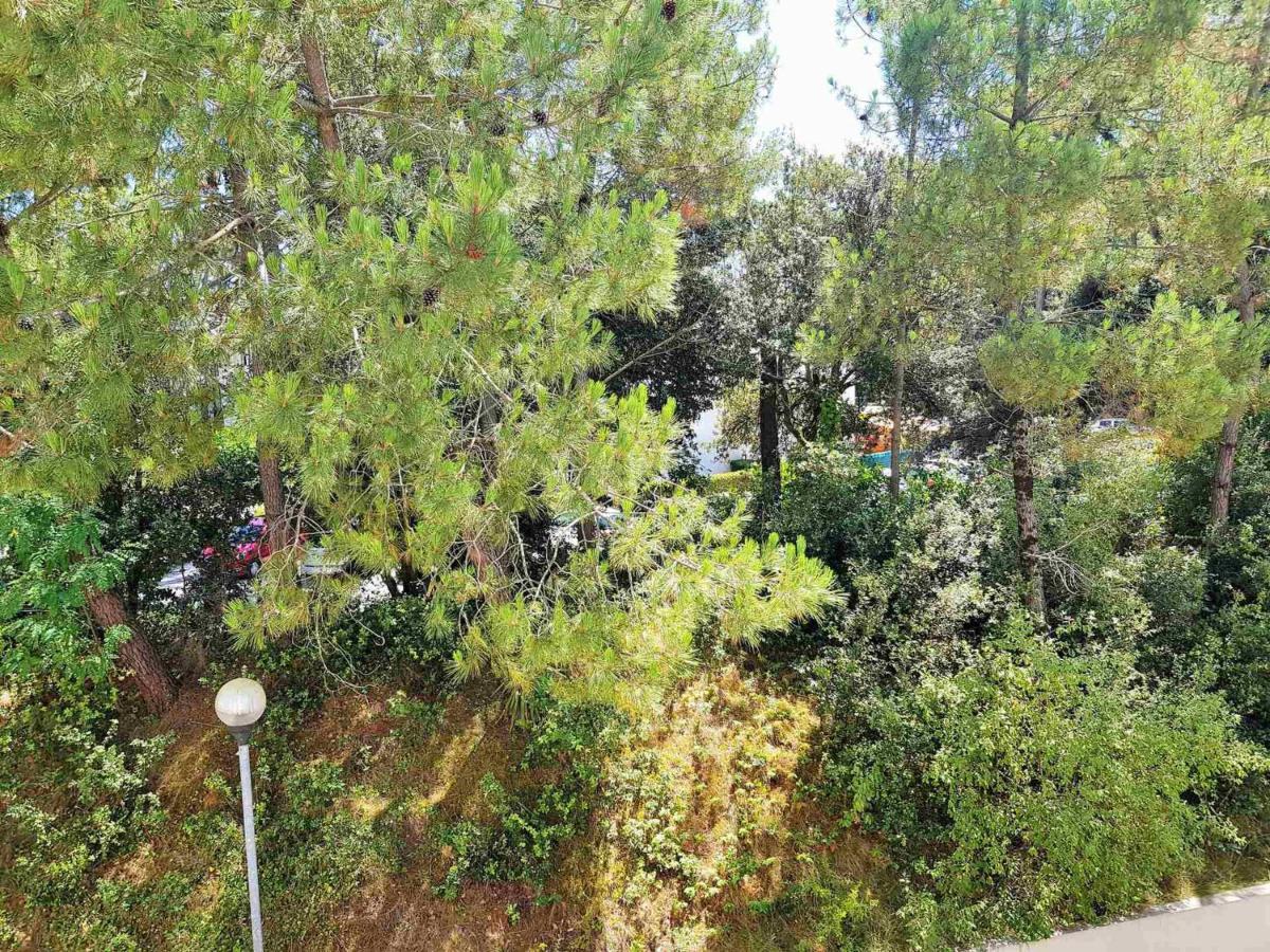 Appartement 2 Pieces A 300M De La Plage Avec Balcon Ensoleille A Saint-Georges-De-Didonne - Fr-1-550-48 エクステリア 写真
